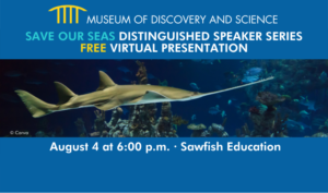 Save the Seas-Sawfish Education